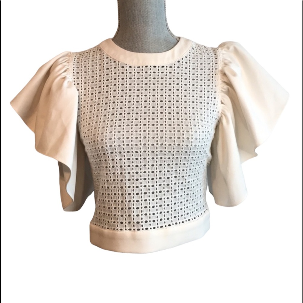 Gracia Cropped Mesh Flutter Sleeve Top - White Size S